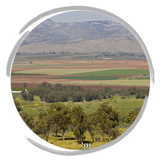 Fields in Israel