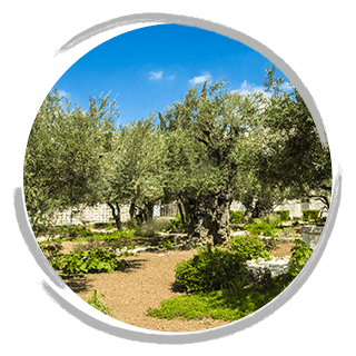 Mount of Olives