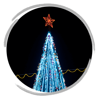 Traditional Jaffa Christmas Tree