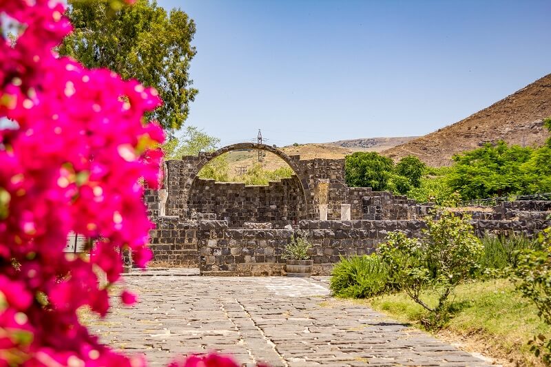 Archaeological remains and flowers